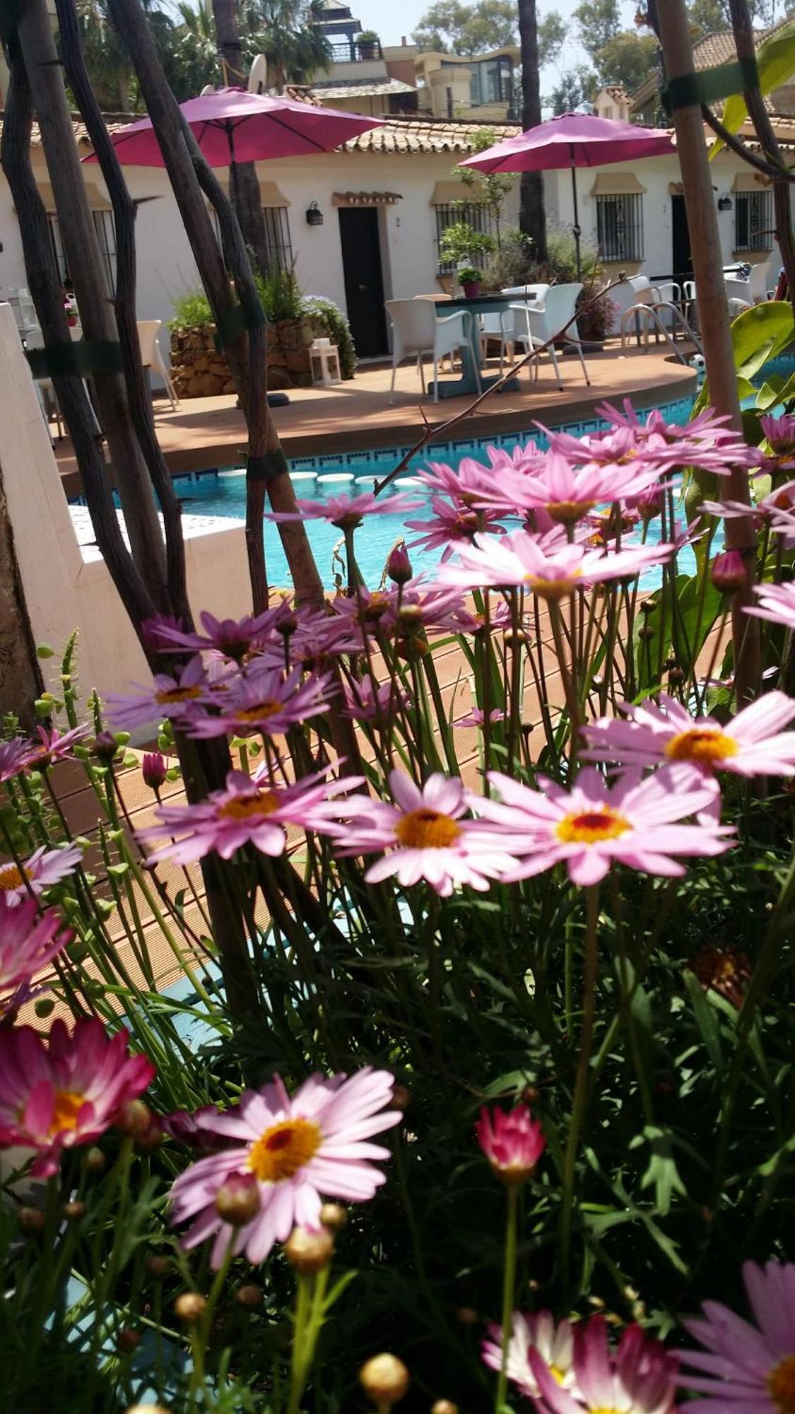 Banus Lodge Marbella Exterior foto