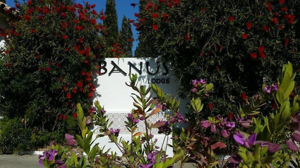 Banus Lodge Marbella Exterior foto